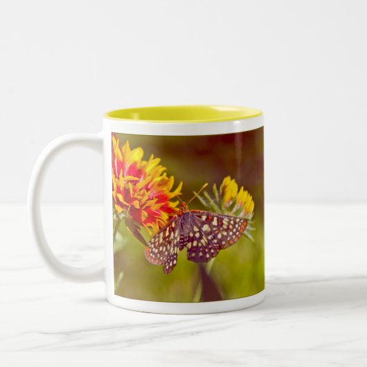 Schmetterling und Gaillardia Zweifarbige Tasse (Links)