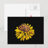 Schmetterling und gelbe Blume Postkarte (Vorne/Hinten)