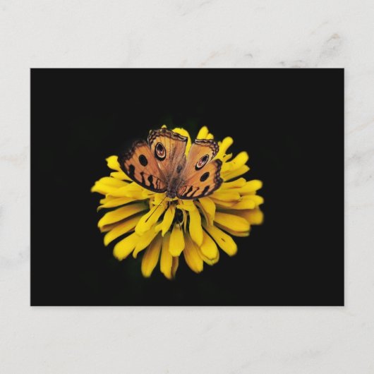 Schmetterling und gelbe Blume Postkarte (Vorderseite)