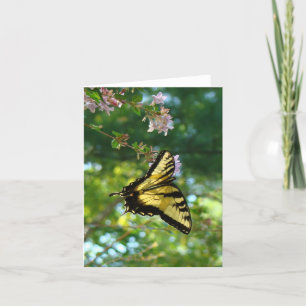 Schmetterling und Himmel Karte