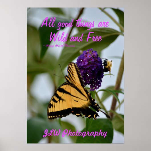 Schmetterling und Hummeln: Gratis Thoreau Zitat Poster (Vorne)