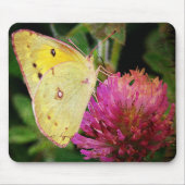 Schmetterling und Klee Mousepad (Vorne)