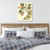 Schmetterling und Libelle mit roten Blume Leinwanddruck (Insitu (Schlafzimmer))
