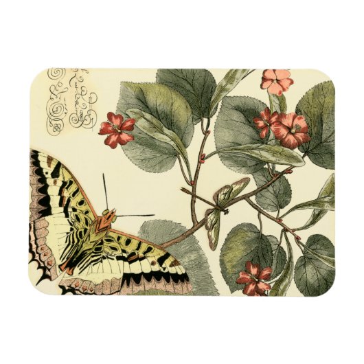 Schmetterling und Libelle mit roten Blume Magnet (Horizontal)