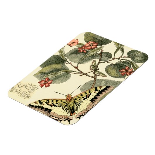 Schmetterling und Libelle mit roten Blume Magnet (Linke Seite)