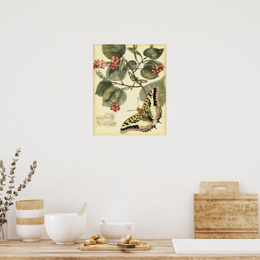 Schmetterling und Libelle mit roten Blume Poster (Küche)