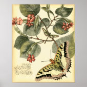 Schmetterling und Libelle mit roten Blume Poster (Vorne)