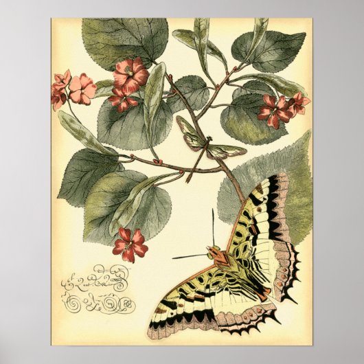 Schmetterling und Libelle mit roten Blume Poster (Vorne)