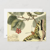 Schmetterling und Libelle mit roten Blume Postkarte (Vorne/Hinten)