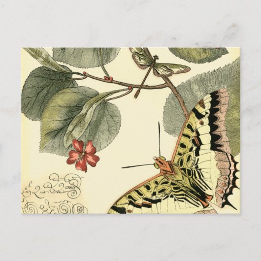 Schmetterling und Libelle mit roten Blume Postkarte (Vorderseite)