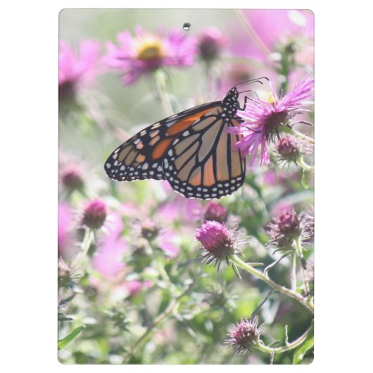 Schmetterling und Lila Blume Klemmbrett (Rückseite)