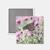 Schmetterling und Lila Blume Magnet (Vorderseite/Rückseite)