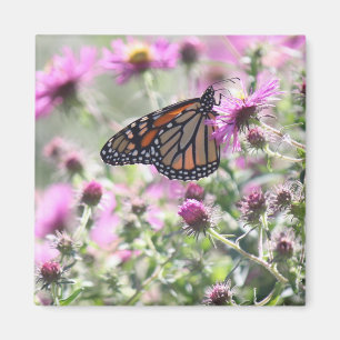 Schmetterling und Lila Blume Magnet