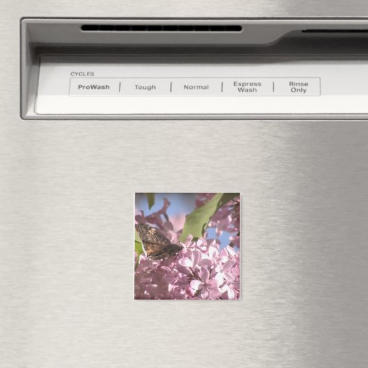 Schmetterling und Lilac Magnet (In Situ (Geschirrspüler))