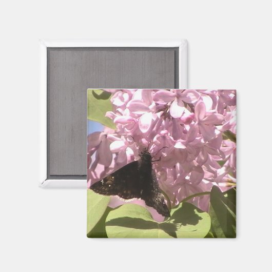 Schmetterling und Lilacs Magnet (Vorderseite/Rückseite)