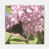 Schmetterling und Lilacs Magnet (Vorne)