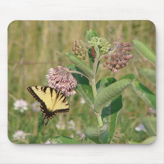 Schmetterling und Milkweed Mousepad (Vorne)