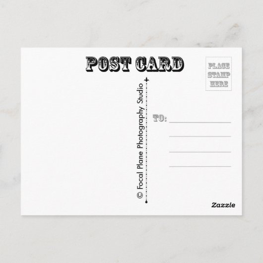 Schmetterling und Morgengläser Postkarte (Rückseite)