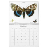 Schmetterling und Moth Lithographien Kalender (Mär 2027)