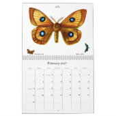 Schmetterling und Moth Lithographien Kalender (Feb 2027)