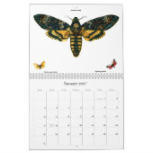 Schmetterling und Moth Lithographien Kalender (Jan 2027)