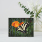 Schmetterling und orange postkarte (Stehend Vorderseite)