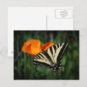 Schmetterling und orange postkarte (Vorne/Hinten)