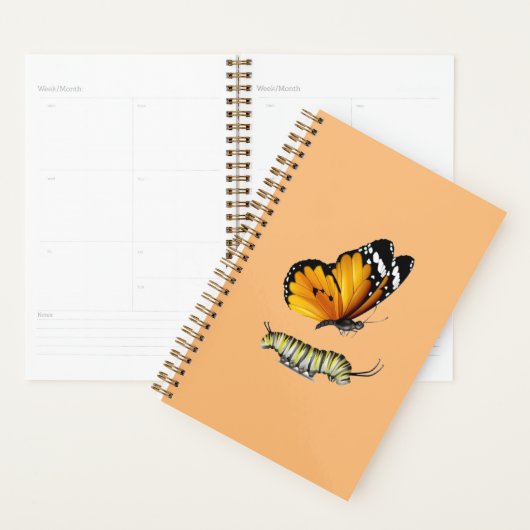 Schmetterling und Raupe Planer (Anzeige)