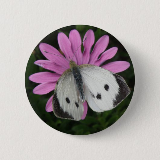 Schmetterling und rosa Blume Button (Vorderseite)