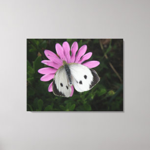 Schmetterling und rosa Blume Canvas drucken Leinwanddruck