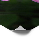 Schmetterling und rosa Blume drucken Poster (Ecke)