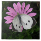 Schmetterling und rosa Blume Fliese (Vorderseite)