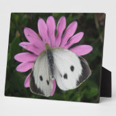 Schmetterling und rosa Blume Plaque Fotoplatte (Seite)