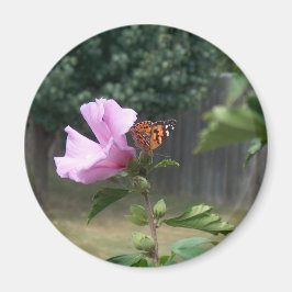 Schmetterling und Rose Sharons Magnet