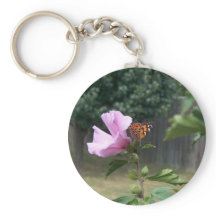 Schmetterling und Rose Sharons