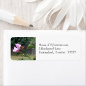 Schmetterling und Rose von Sharon-Adressmarken (Insitu)
