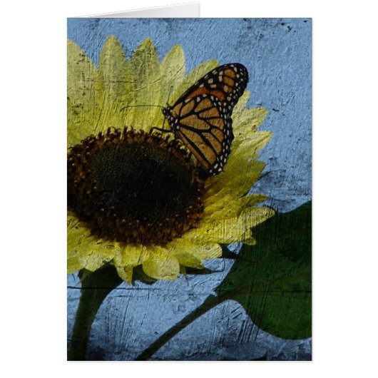 Schmetterling und Sonnenblume (Vorne)