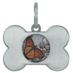 Schmetterling und Steine Tiermarke
