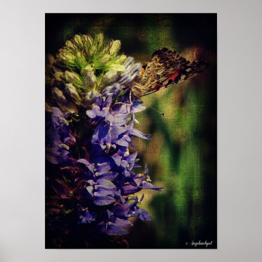 Schmetterling und violette Blumen Poster (Vorne)