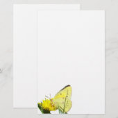 Schmetterling ungedeckt briefpapier (Vorne/Hinten)