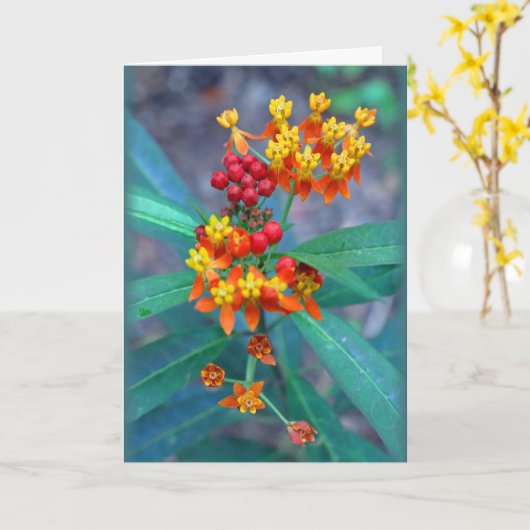 "Schmetterling-Unkraut" Karte (Gelbe Blume)