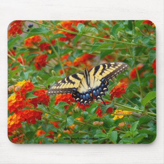 Schmetterling unter Lantana Mousepads (Vorne)