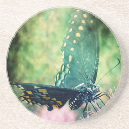 Schmetterling Untersetzer (Vorne)