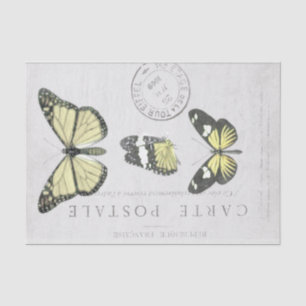 Schmetterling Vintage Französische Carte Postale D Seidenpapier