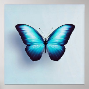 Schmetterling vor weißem Hintergrund Poster