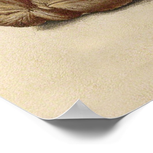 Schmetterling Walnut Blume and Kirsche Aquarell Poster (Ecke)