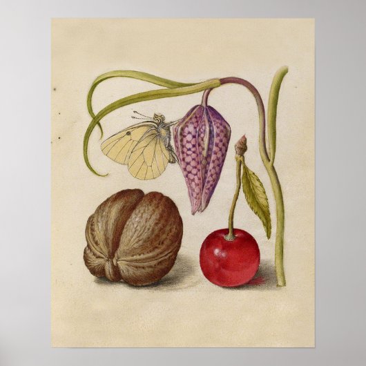 Schmetterling Walnut Blume and Kirsche Aquarell Poster (Vorne)