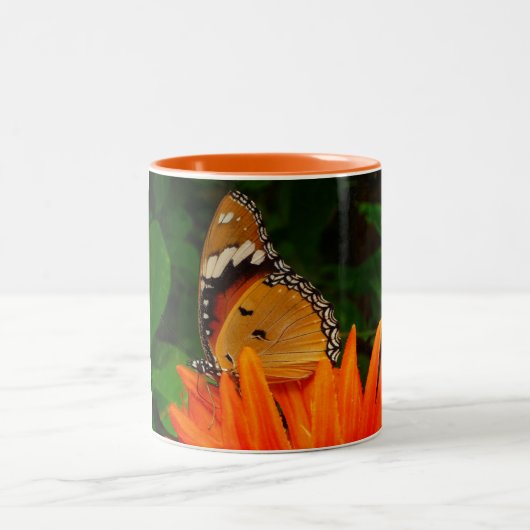 Schmetterling Zweifarbige Tasse (Mittel)