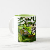 Schmetterling Zweifarbige Tasse (Vorderseite Links)
