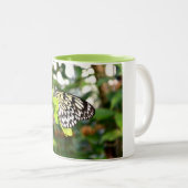 Schmetterling Zweifarbige Tasse (VorderseiteRechts)
